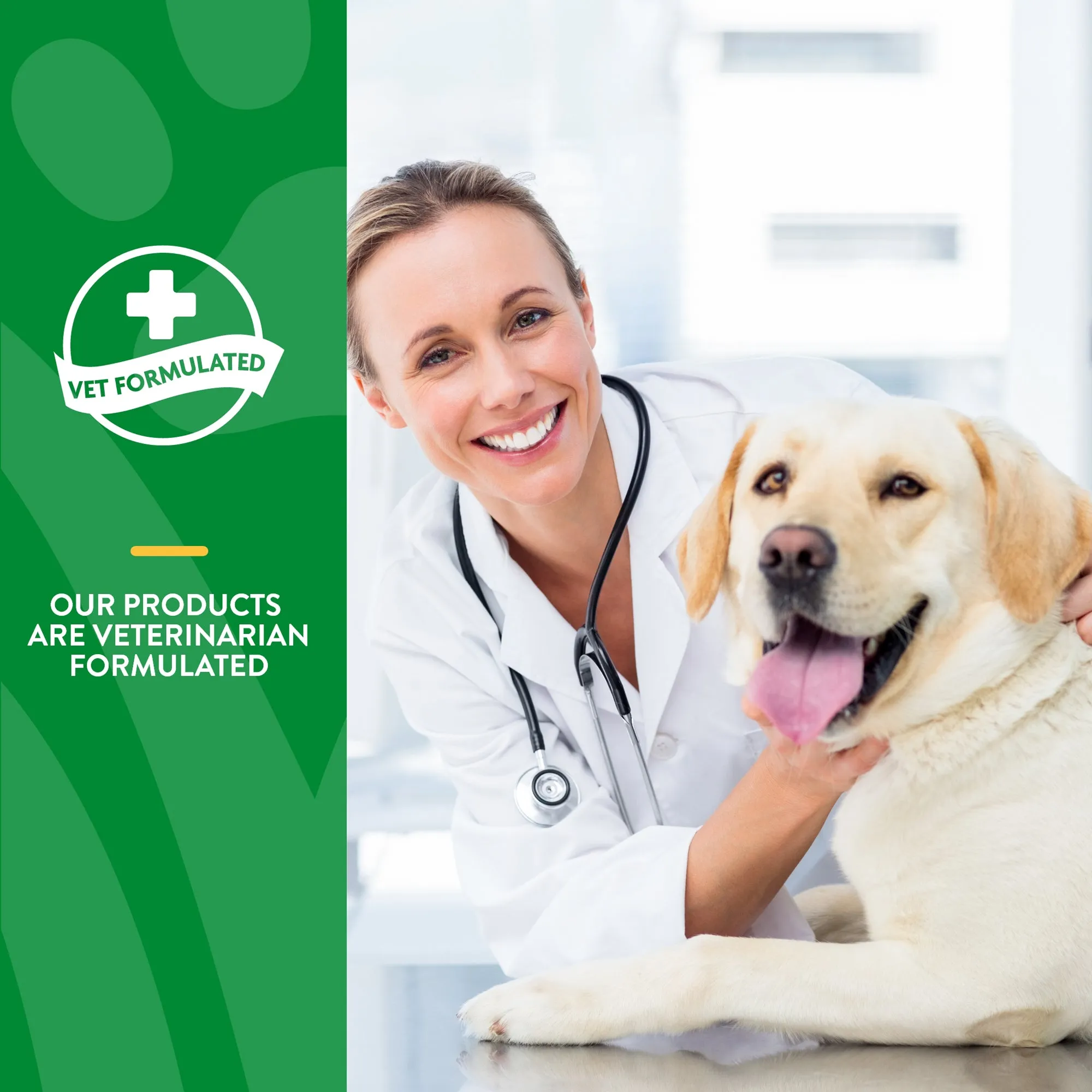 Digestive Enzymes Supplement Powder with Prebiotics & Probiotics