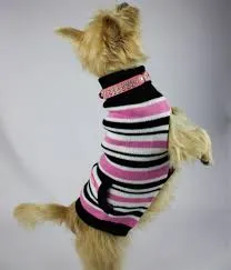 Dogue Candy Stripe Knit Jumpers
