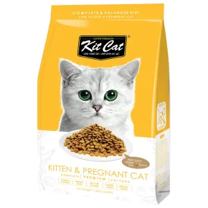 FREE TREATS w 1.2kg: Kit Cat Kitten & Pregnant Dry Cat Food