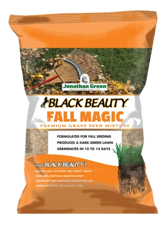 Jonathan Green Black Beauty® Fall Magic Grass Seed