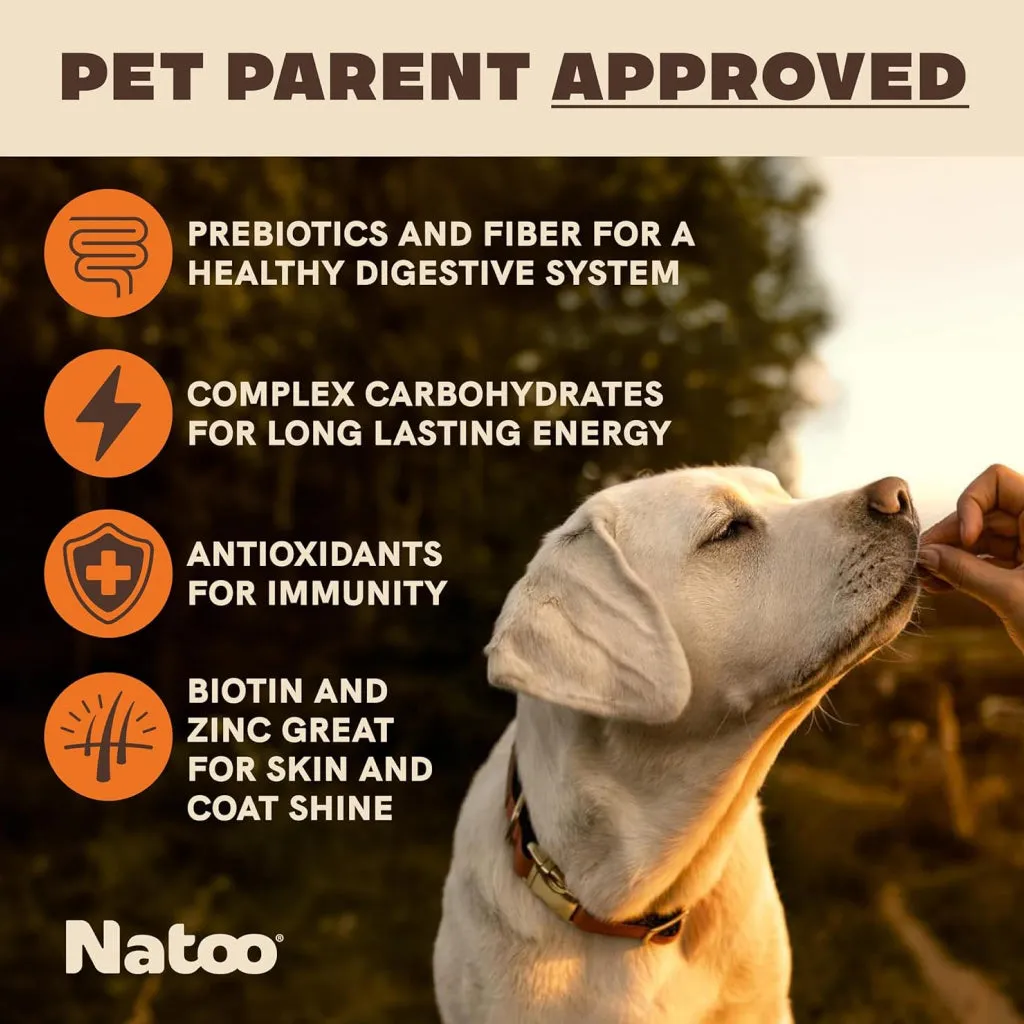 Natoo Crunchy Biscuits Sweet Potato & Pumpkin Flavor Dog Treats,  8-oz