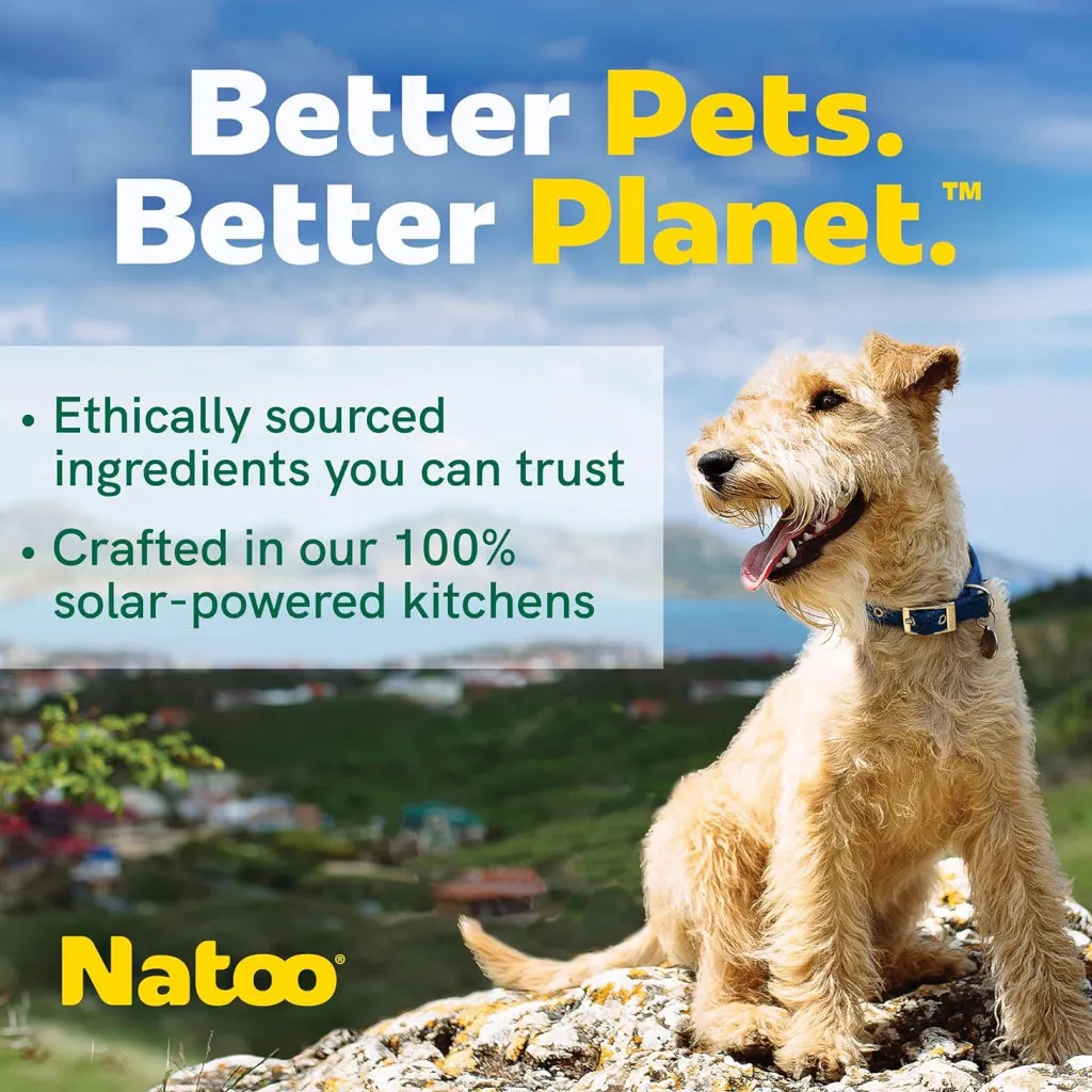 Natoo Crunchy Biscuits Sweet Potato & Pumpkin Flavor Dog Treats,  8-oz