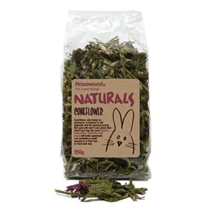 Naturals Coneflower