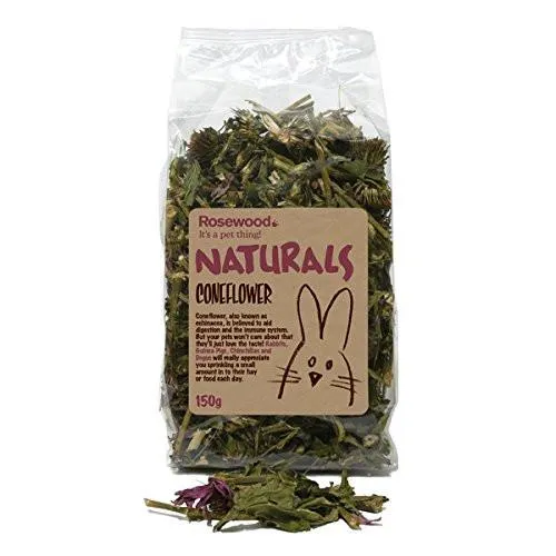 Naturals Coneflower