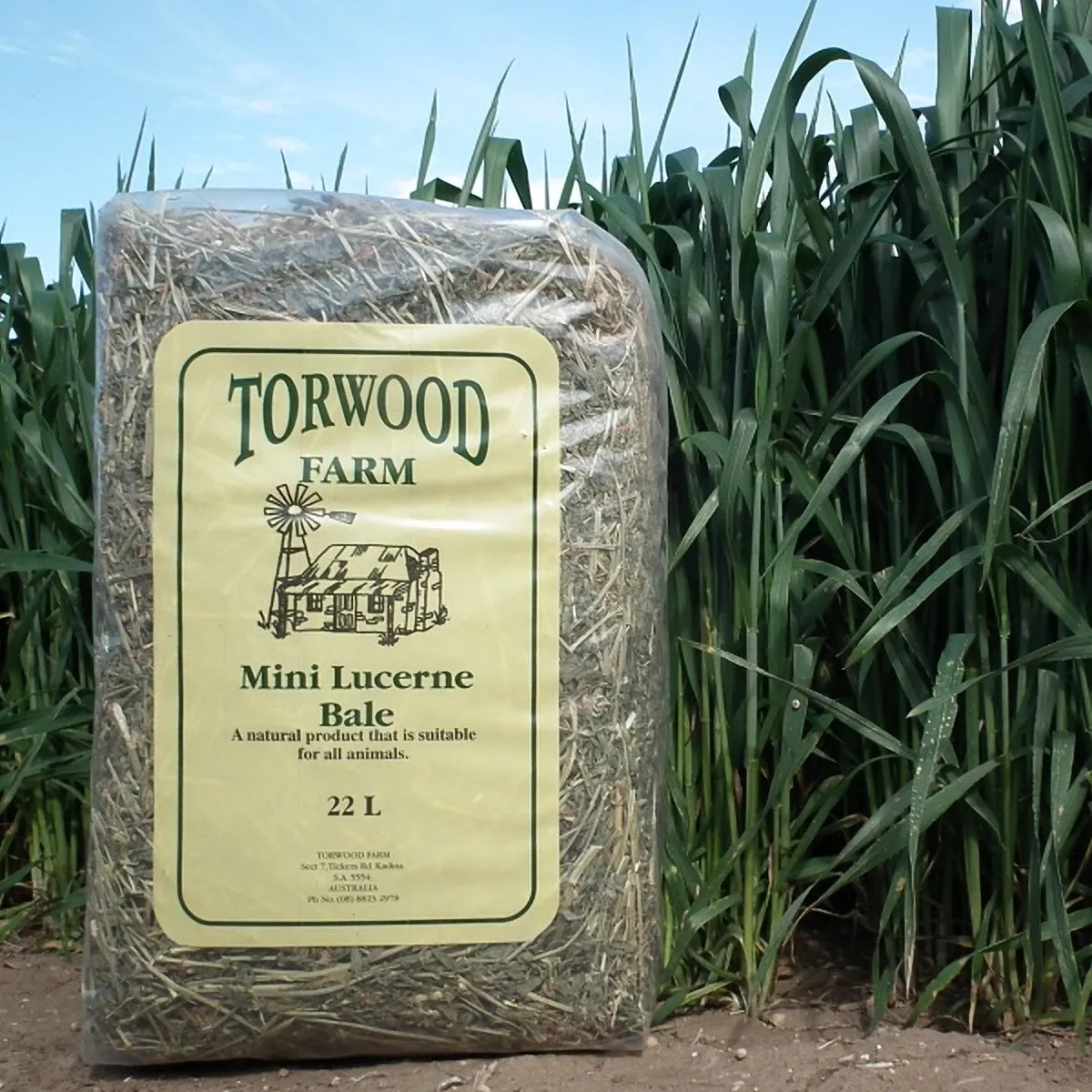 Torwood Farm Mini Lucerene Bale 22L