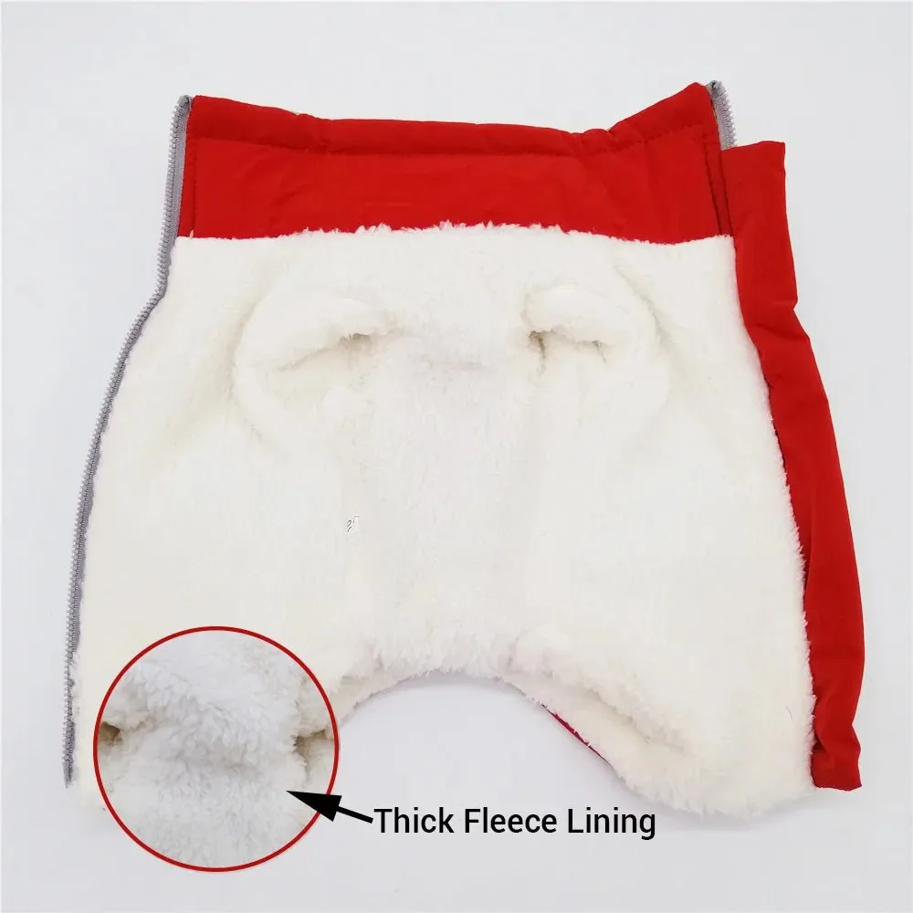 Winter overalls for dogs