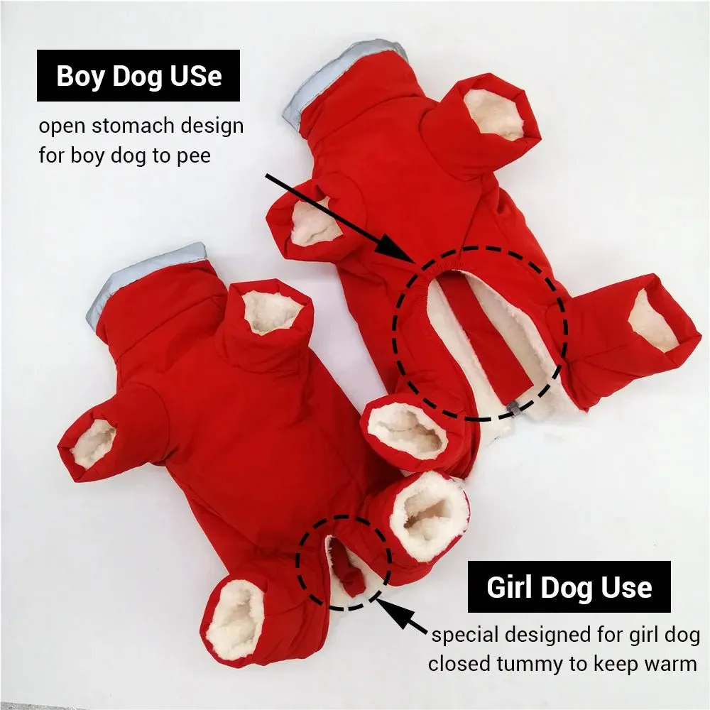 Winter overalls for dogs