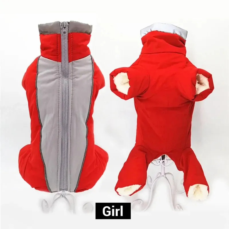 Winter overalls for dogs