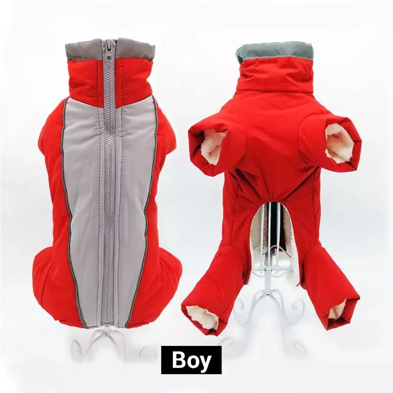 Winter overalls for dogs