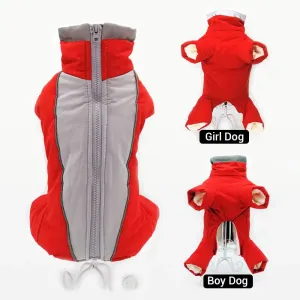 Winter overalls for dogs