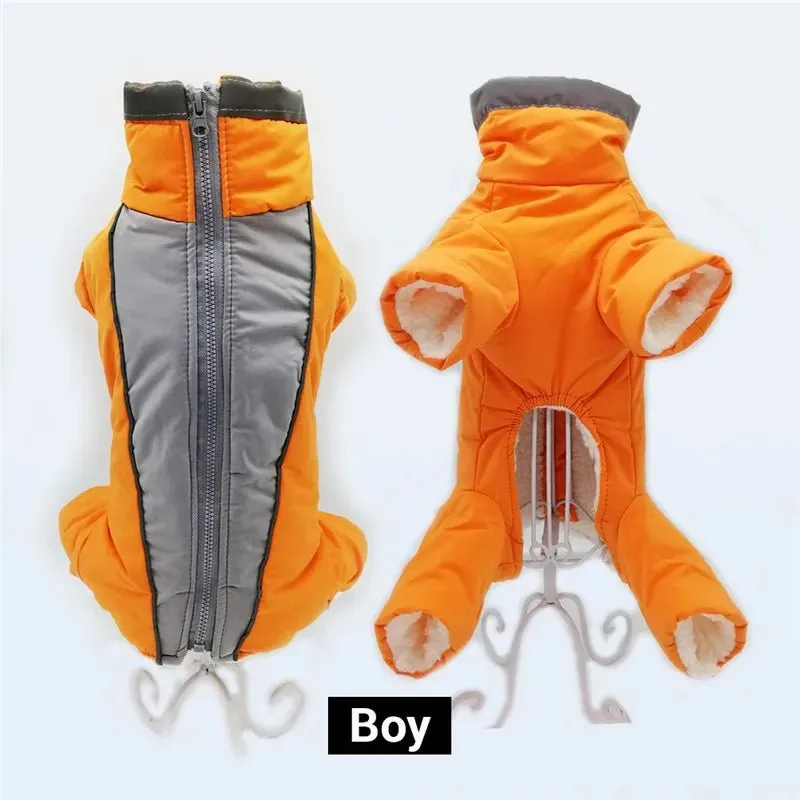 Winter overalls for dogs