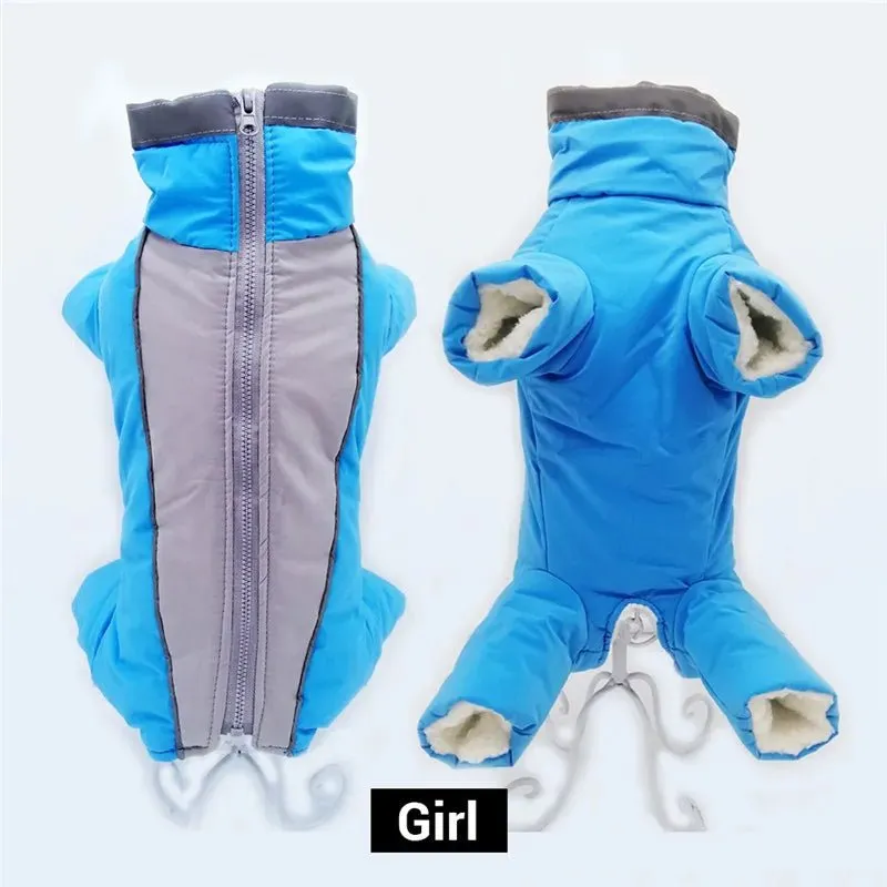 Winter overalls for dogs