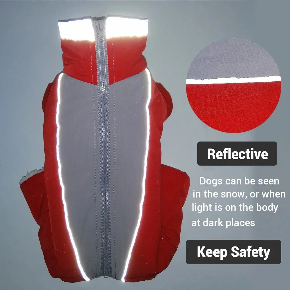 Winter overalls for dogs