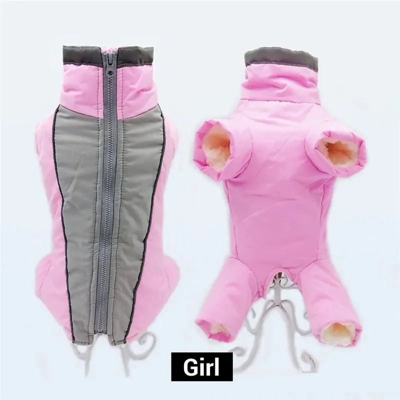 Winter overalls for dogs