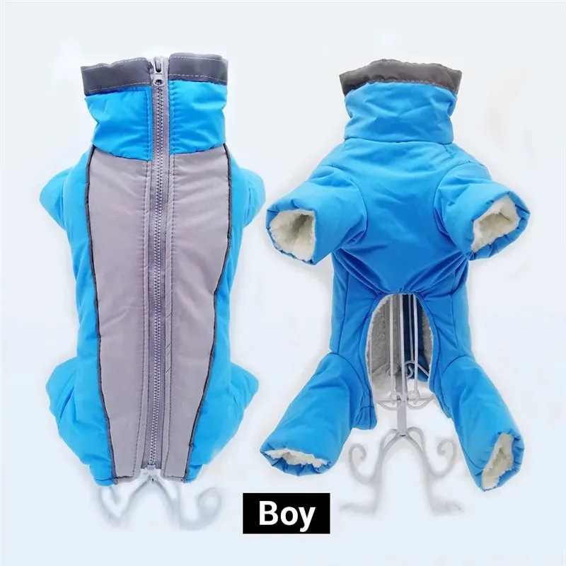 Winter overalls for dogs