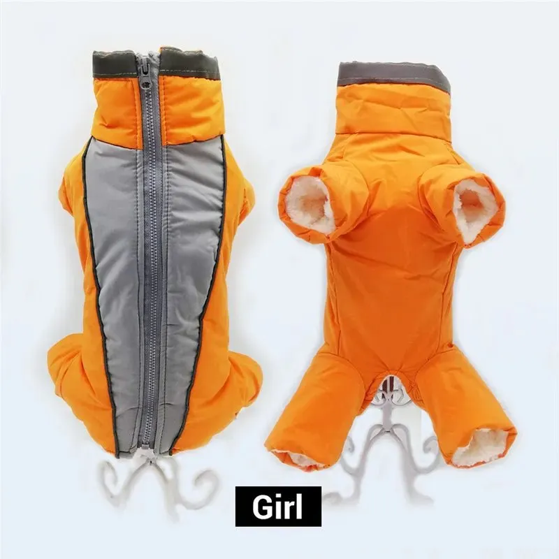 Winter overalls for dogs