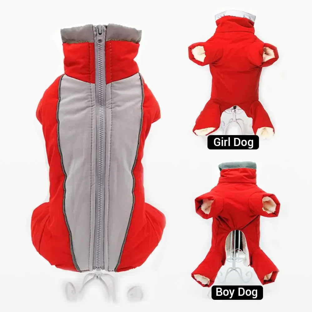 Winter overalls for dogs